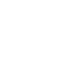 A white circle with a bolt shaped cutout