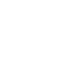 Installation & Replacement Icon