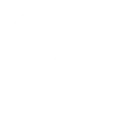 Plumbing Inspection Icon